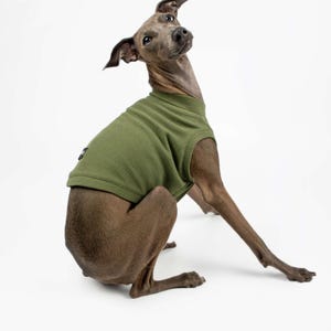 Op de afbeelding: Een slanke, grijze hond met een groen, getextureerd mouwloos shirt. De hond zit met zijn hoofd omhoog gekanteld en kijkt naar de rechterbovenhoek. De achtergrond is effen wit.