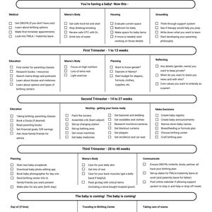 May include: A teal and white checklist titled "Preparing for baby" with sections for medical, housing, and planning. The checklist includes tasks for each trimester of pregnancy, with the text "You got this, mama!"