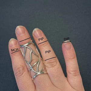 May include: A silver-colored finger ring with an open, web-like design. The ring covers the middle and part of the index finger. The image also shows the hand with lines indicating the MCP, PIP, and DIP joints.