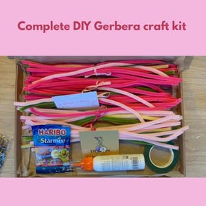 May include: A complete DIY Gerbera craft kit in a cardboard box. The kit contains pink, white, and green pipe cleaners, a bag of Haribo Starmix sweets, glue, tape, and a small card. The text "Complete DIY Gerbera craft kit" is at the top.