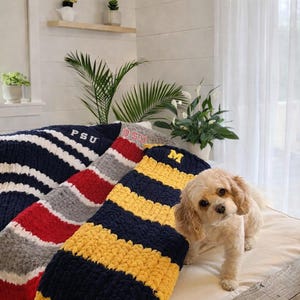 May include: Cozy, chunky knit blankets in navy, red, gray, and yellow with university initials. One blanket has navy and white stripes, another has red and gray stripes, and a third has yellow and navy stripes. A small, light-colored dog stands near the blankets.