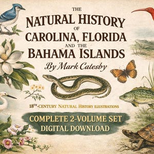 Puede incluir: Ilustración vintage con un arrendajo azul, una serpiente y una tortuga, con el texto "The Natural History of Carolina, Florida and the Bahama Islands" de Mark Catesby. Incluye "Complete 2-Volume Set Digital Download".