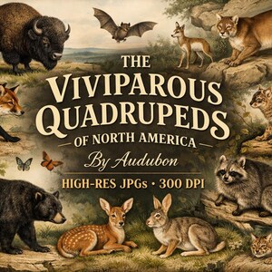 May include: A set of three ceramic mugs with a speckled, matte finish. The mugs are in shades of cream, light gray, and dark gray. Each mug has a simple, minimalist design and a rounded handle. The mugs are stacked on top of each other.