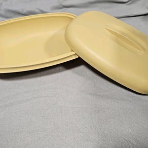 Puede incluir: Un recipiente de almacenamiento de alimentos de forma ovalada, de color amarillo claro, con una tapa a juego. La tapa tiene un asa empotrada. El recipiente está abierto, revelando su interior. El conjunto está hecho de plástico duradero.