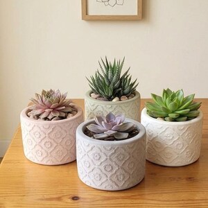 May include: Four cylindrical planters with embossed geometric patterns, each containing a different succulent plant. The planters are coloured in shades of light pink, light grey, and white. A framed line drawing of a succulent hangs above.