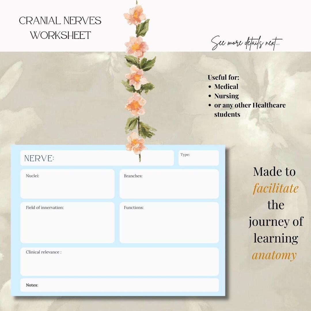 Cranial Nerves Worksheet // Study Sheet - Etsy