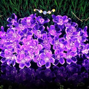 Pode incluir: Um conjunto de luzes LED roxas em forma de flor. As luzes estão dispostas próximas umas das outras, criando uma densa exibição floral. As flores são iluminadas, emitindo um brilho suave. O fundo apresenta grama verde.