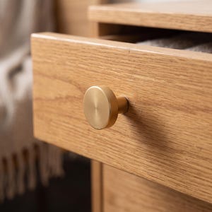 Pu&ograve; includere: Un pomello per mobili circolare in metallo dorato spazzolato fissato su un frontale di cassetto in legno di rovere chiaro. Il pomello presenta una superficie piatta e liscia con una lucentezza metallica, in contrasto con la venatura del legno.