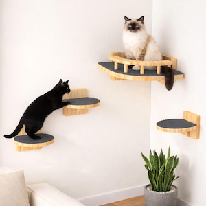 May include: A white ceramic mug with a black handle and the text "But First, Coffee" in a bold, black font. The mug is set against a blurred background, highlighting its clean design.