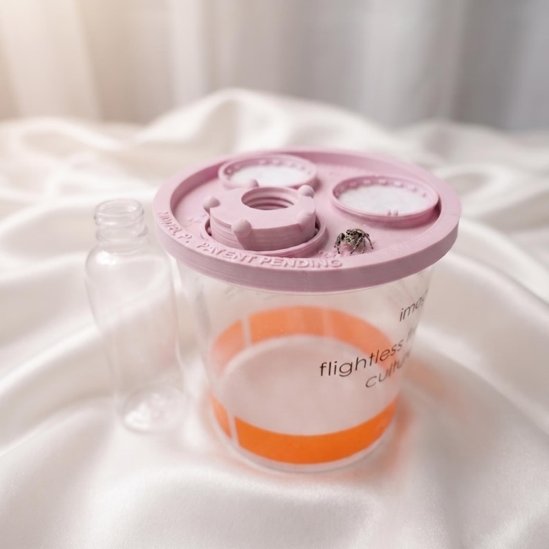 Peut inclure: Un r&eacute;cipient en plastique transparent avec un couvercle rose clair dot&eacute; de trois ouvertures circulaires et d'une petite araign&eacute;e sur le dessus. Le r&eacute;cipient a une bande orange et le texte flightless fruit fly culture. Une petite bouteille transparente est &agrave; c&ocirc;t&eacute;.
