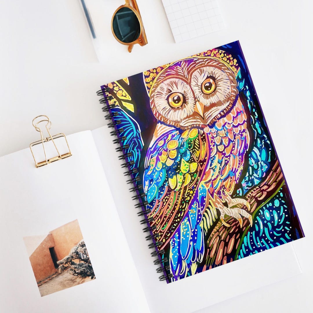 owl-art-spiral-notebook-colorful-whimsical-ruled-journal-etsy