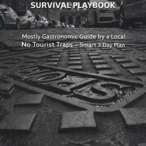 Può includere: Copertina di un libro in bianco e nero intitolata "ROME SURVIVAL PLAYBOOK". Il titolo è in grandi lettere bianche. Il testo sottostante recita "Mostly Gastronomic Guide by a Local, No Tourist Traps - Smart 3 Day Plan". Lo sfondo mostra una strada acciottolata.