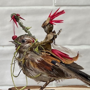 May include: A decorative figurine featuring a small bird with brown, grey, and black feathers. A tiny creature made of natural plant materials sits on the bird's back, adorned with bright red petals, thin green vines, and translucent wings.