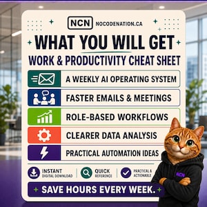 May include: A white rectangular sign titled WHAT YOU WILL GET WORK & PRODUCTIVITY CHEAT SHEET from NOCODENATION.CA. It lists benefits including a weekly AI operating system, faster emails, workflows, data analysis, and automation ideas with a cat.