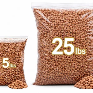 Bulk Raw Medium size Peanuts with skin – Natural for Roasting, Baking, Boiling