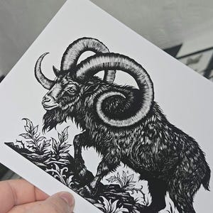 May include: Black and white illustration of a ram with large, curved horns. The artwork depicts the ram in a dynamic pose, set against a backdrop of stylized foliage and rocky terrain. The image is printed on white paper.