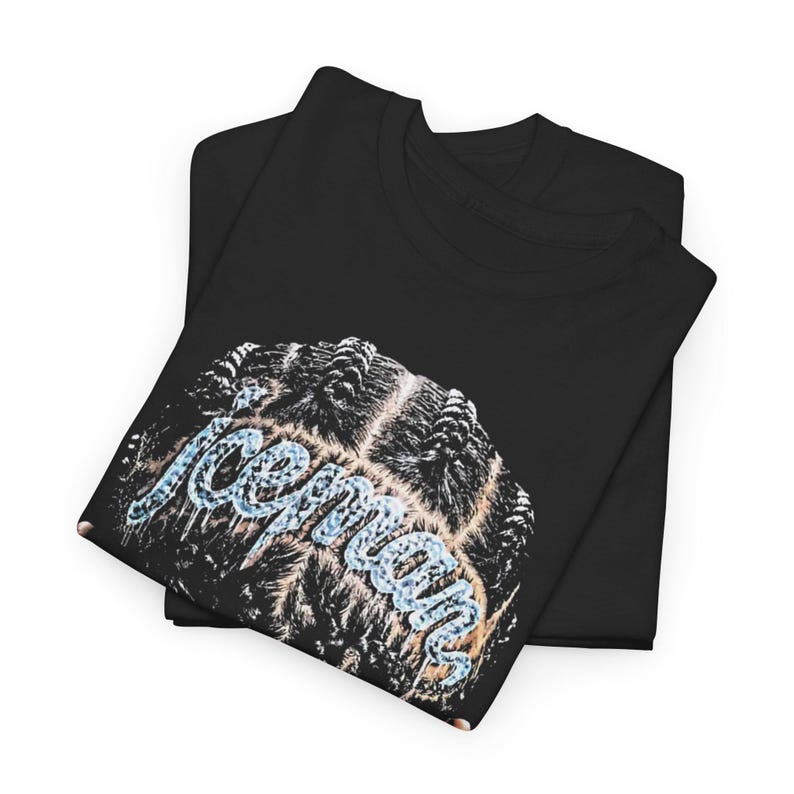 Drake Iceman Album T-shirt, Retro Music Tee, Concert Apparel image 2