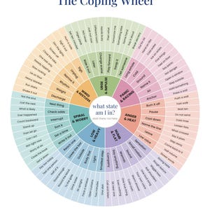 Coping Skills Wheel Printable, Grounding Chart Sorted by Feeling, DBT Therapy Poster for Panic Anger & Numbness, Digital Download