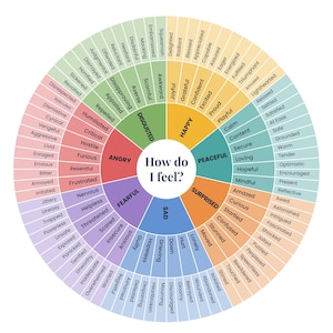May include: A circular colour-coded feelings wheel chart titled How do I feel? in the centre. The chart is divided into eight primary emotional categories including happy, peaceful, surprised, sad, fearful, angry, disgusted, and their sub-emotions.