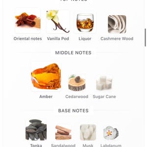 May include: A graphic showcasing fragrance notes, including Oriental notes, vanilla pod, liquor, and cashmere wood. Middle notes feature amber, cedarwood, and sugar cane. Base notes include tonka, sandalwood, musk, and labdanum.