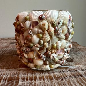 May include: A cylindrical glass vase completely covered in a dense mosaic of various seashells. The shells feature a diverse range of natural colours including white, tan, brown, and grey, with assorted spiral, bivalve, and conical shapes.