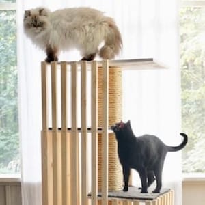 May include: A wooden cat tree with multiple levels and scratching posts. The cat tree has a natural wood finish and is made of vertical wooden slats. Two cats are on the tree, one fluffy and light-colored, the other black.