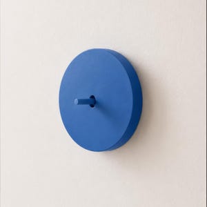 Op de afbeelding: Een cirkelvormige blauwe wandhaak met een matte afwerking. Het object heeft een platte, ronde basisplaat met een enkele cilindrische pin die horizontaal uit het midden steekt, ontworpen voor montage tegen een vlak verticaal oppervlak.