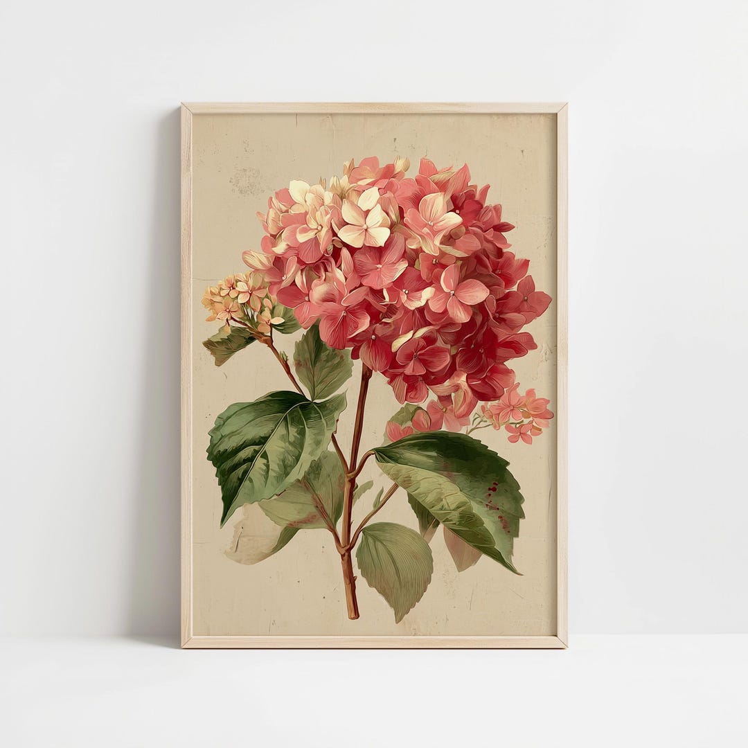 Hydrangea Wall Art Pink Vintage Floral Print Digital Download - Etsy