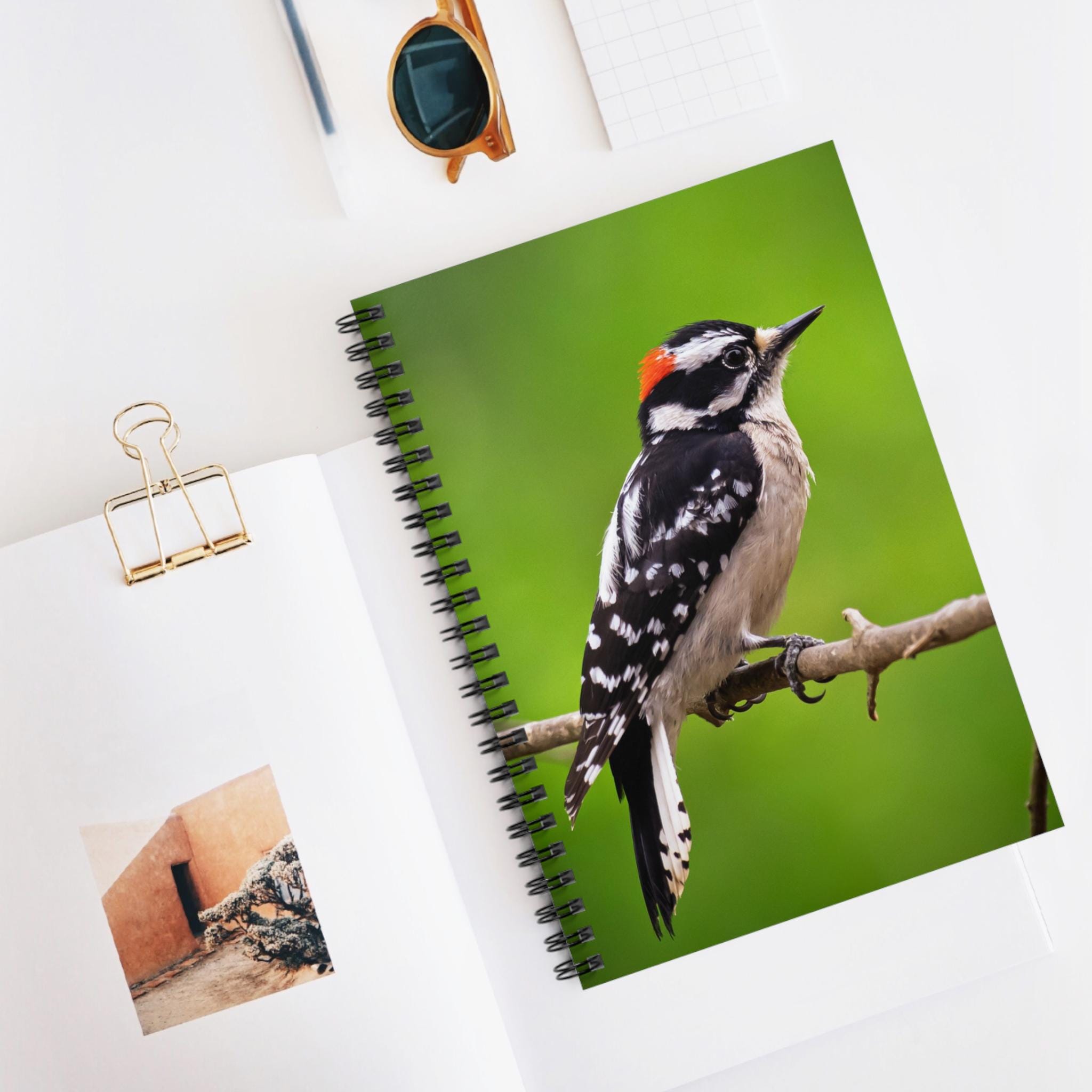 Notebook Watcher Hairy Woodpecker Nature Journal | Bird Watcher Gift | 6x8 Spiral ...