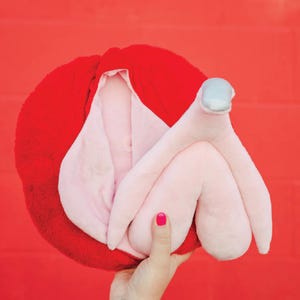 May include: A plush, red and pink vulva-shaped pillow. The pillow is held by a hand with a pink painted fingernail against a red background. The pillow has a soft, fluffy texture.