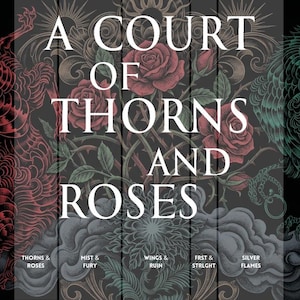 A Court of Thorns and Roses Dust Jacket - Etsy