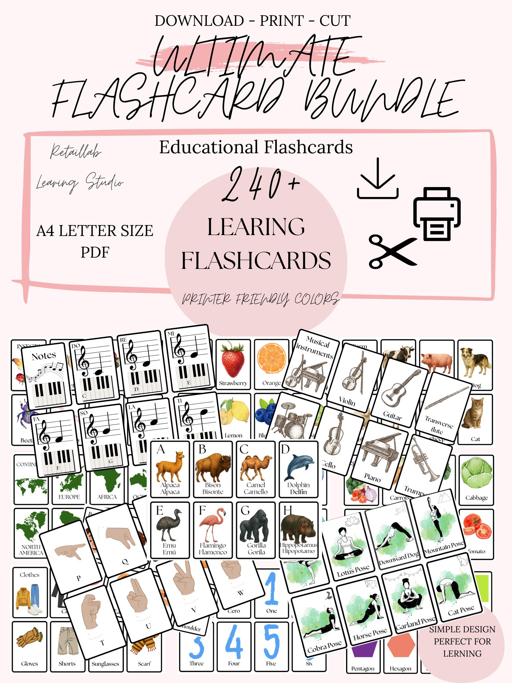 Ultimate FLASHCARD Bundle - Printable Cards for Educators, Alphabet ...