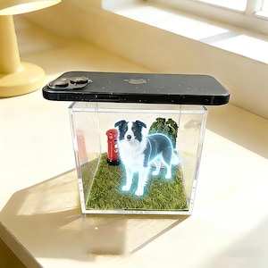 Könnte beinhalten: Eine transparente Acryl-Vitrine mit einer Border Collie-Illustration, einem roten Briefkasten und Kunstgras. Ein schwarzes Smartphone liegt oben auf. Die Vitrine steht in der Nähe eines Fensters.