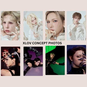 Xlov Photocards - Etsy