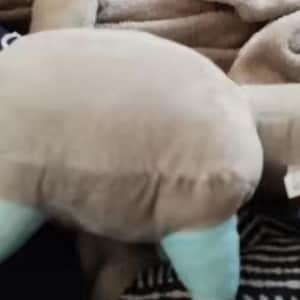 May include: A selection of soft plush toys, including a large, light brown stuffed animal with blue details. Other toys are visible, along with a patterned blanket. The toys appear soft and cuddly.