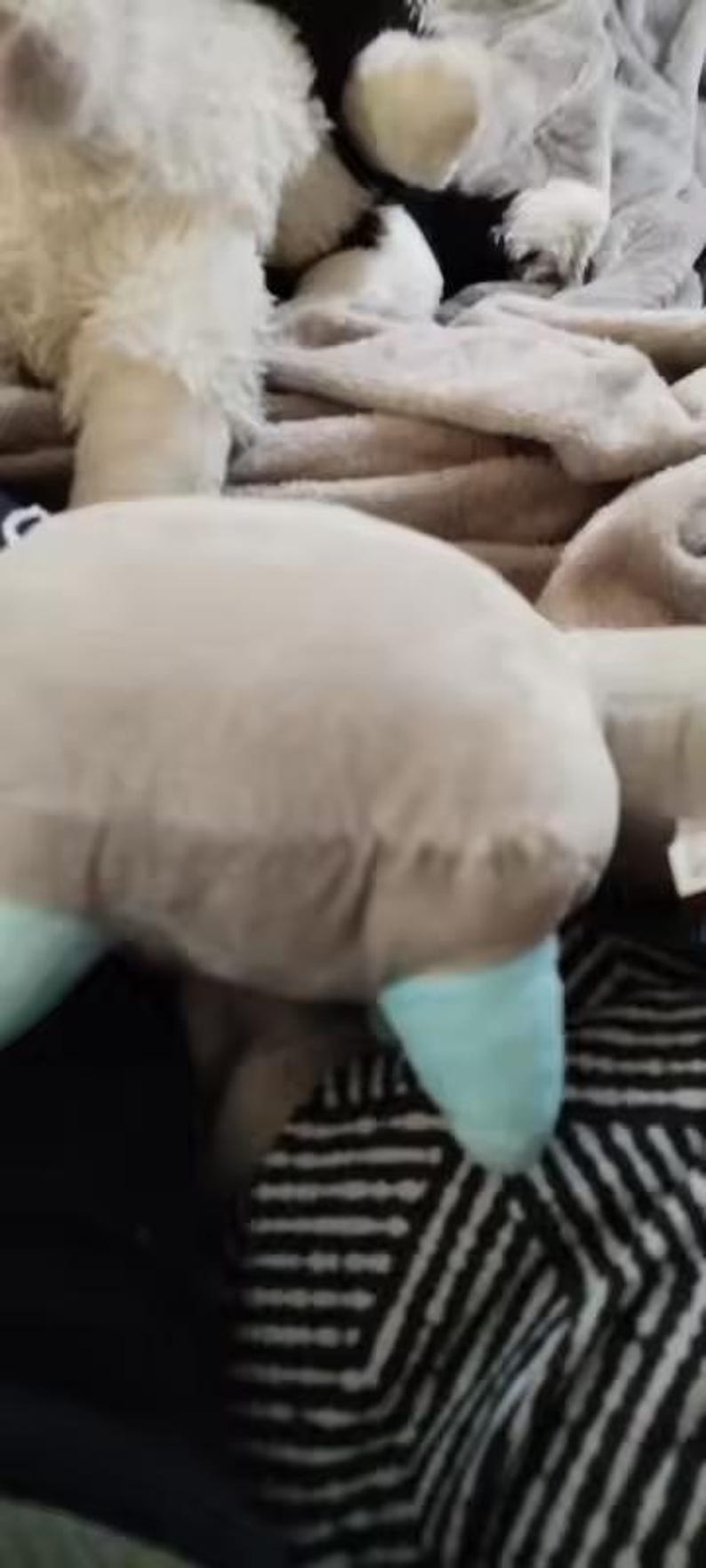 May include: A selection of soft plush toys, including a large, light brown stuffed animal with blue details. Other toys are visible, along with a patterned blanket. The toys appear soft and cuddly.