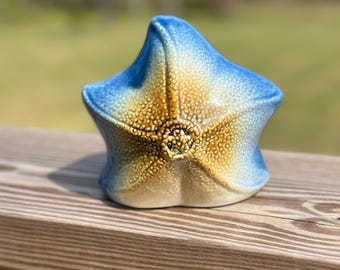 ヴィンテージ風ヒトデ型セラミックスポンジホルダー – 海辺のキッチンシンクキャディ、ビーチハウス風インテリア