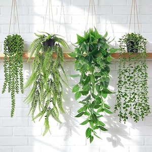 May include: Four artificial hanging plants in black pots suspended by thin cords. The set includes a string of pearls, a Boston fern, a pothos vine with broad green leaves, and a trailing eucalyptus plant, all featuring vibrant green foliage.
