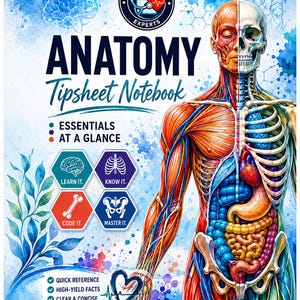 May include: An anatomy tipsheet notebook featuring a human body illustration split between muscular and skeletal systems. Text includes ANATOMY Tipsheet Notebook, ADVANCED CODING EXPERTS, ESSENTIALS AT A GLANCE, LEARN IT, KNOW IT, CODE IT, MASTER IT, and bullet points.