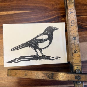 Puede incluir: Una impresión en linograbado en blanco y negro de una urraca de pie sobre una superficie texturizada. El ave se representa de perfil, con el pico hacia la derecha. Una regla de madera vintage está en el fondo.