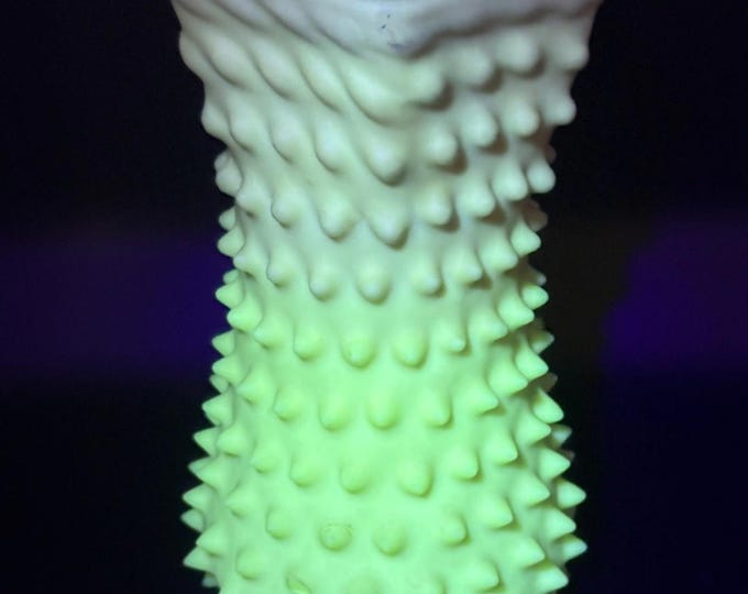 Victorian Phoenix Burmese Hobnail Vase
