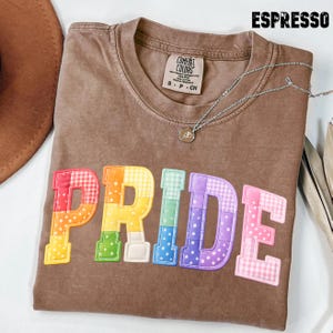 May include: Espresso-colored t-shirt with the word "PRIDE" in rainbow-colored, patchwork-style letters. The shirt has a crew neck and a small tag. A silver necklace with a pendant is draped across the shirt.