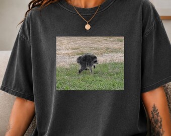 Jimothy Shirt, Trendy Raccoon Meme Shirt, Oversize, Womens, Unisex Comfort Colors T-shirt