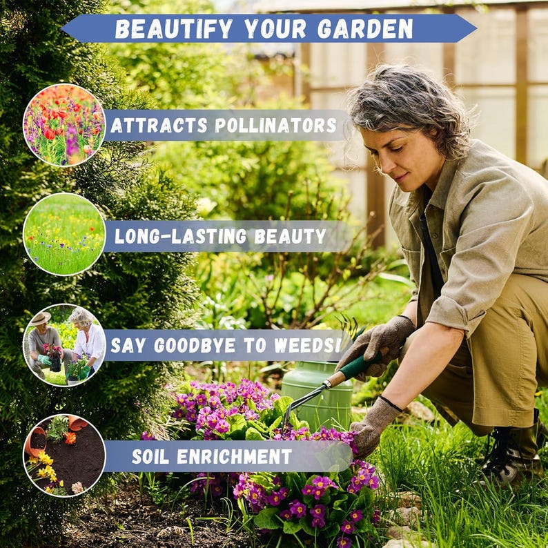 May include: A person gardening, tending to purple flowers with a hand tool. The image includes text that reads "Beautify Your Garden," "Attracts Pollinators," "Long-Lasting Beauty," "Say Goodbye to Weeds!" and "Soil Enrichment."