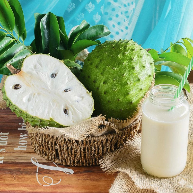 May include: A still life featuring a soursop fruit, one half cut open to reveal white flesh and black seeds, and a whole fruit. A glass jar with a green straw contains a white beverage. The fruits are in a woven basket with green leaves.