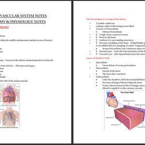 以下が含まれることがあります： 心血管系の解剖学と生理学に関する手書きのメモが記載された2ページのドキュメント。左ページには、場所や構成要素など、心臓の解剖学が詳しく記載されています。右ページでは、心膜と心壁の層について、図とともに説明しています。