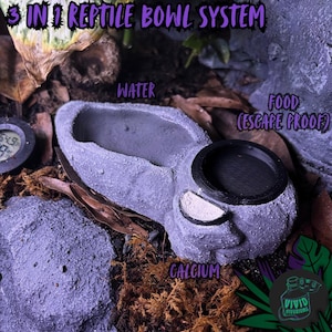 May include: A gray, 3-in-1 reptile bowl system. The bowl has sections for water, food, and calcium. The food section is escape-proof. The text "3 IN 1 REPTILE BOWL SYSTEM" is at the top of the image.