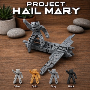 Project Hail Mary Grace and Ship 3D Printed Display, Sci-Fi Desk Decor, PLA Model