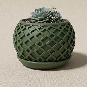 May include: A green ceramic planter with a geometric lattice design, holding a succulent plant. The round pot sits on a matching saucer. The succulent has blue-green leaves and small white flowers.