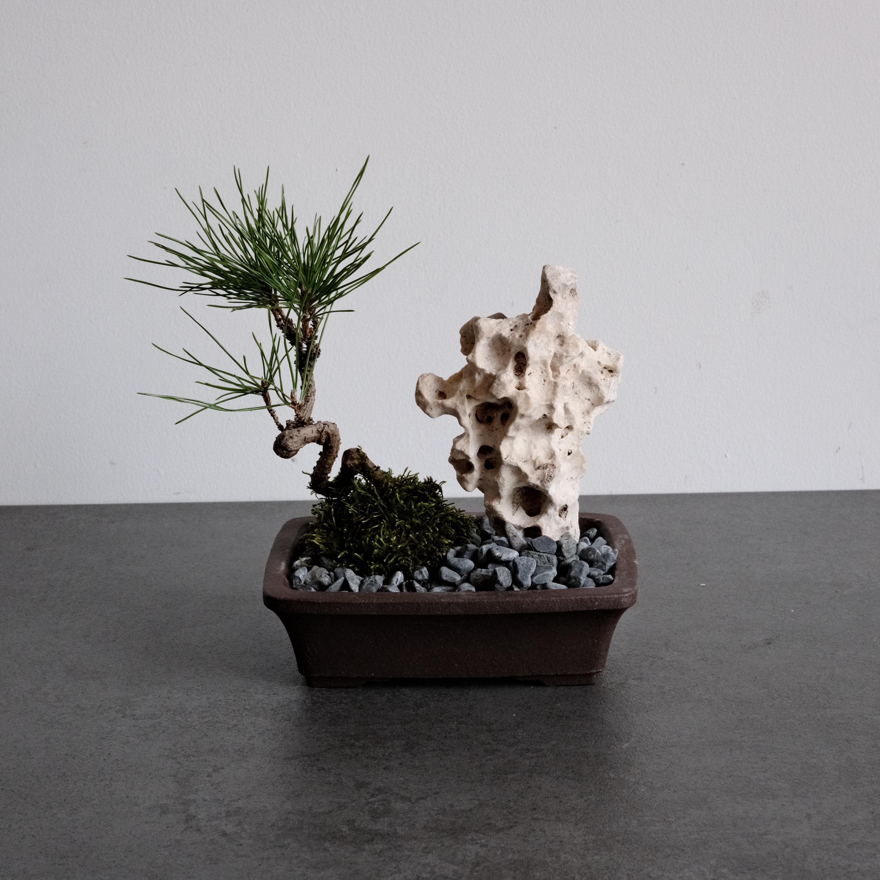 Suiseki Stone - Etsy